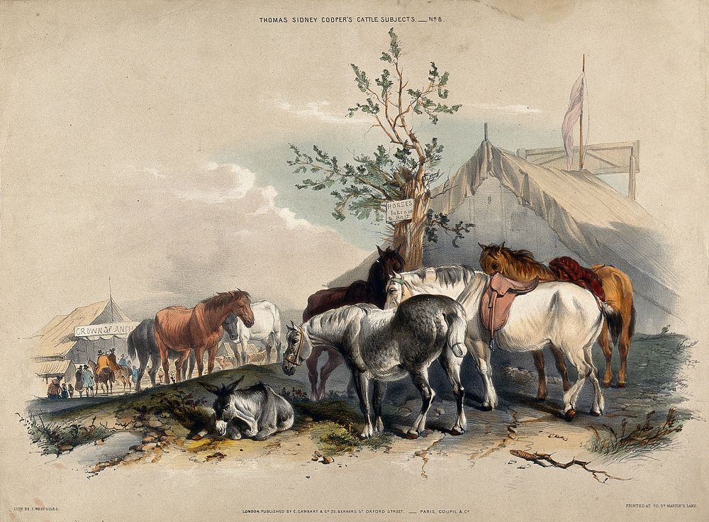 A group of horses halting on a journey for refreshment and a rest outside fairground tents. Coloured lithograph by J. W.…