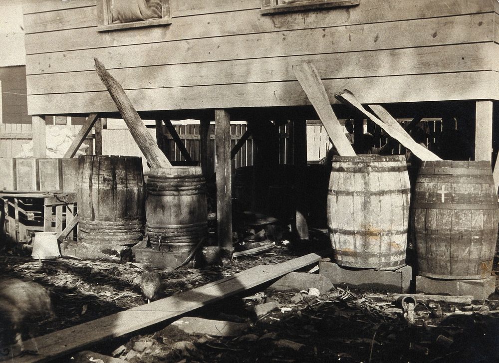 Panama : unhygienic water barrels alongside a wooden house; resident children in the background. Photograph, ca. 1910.
