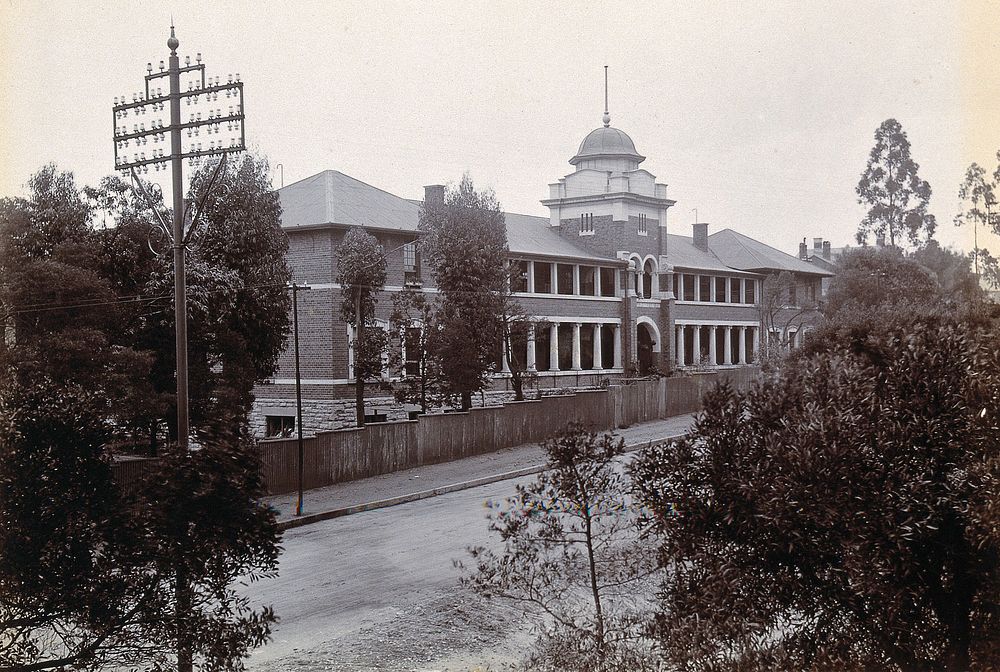 Johannesburg Hospital, South Africa: long two-storey building, possibly divided into wards. Photograph, c. 1905.