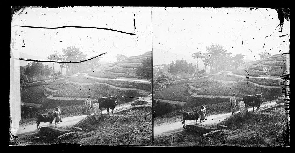 Foochow, Fukien province, China. Photograph by John Thomson, 1870/1871.