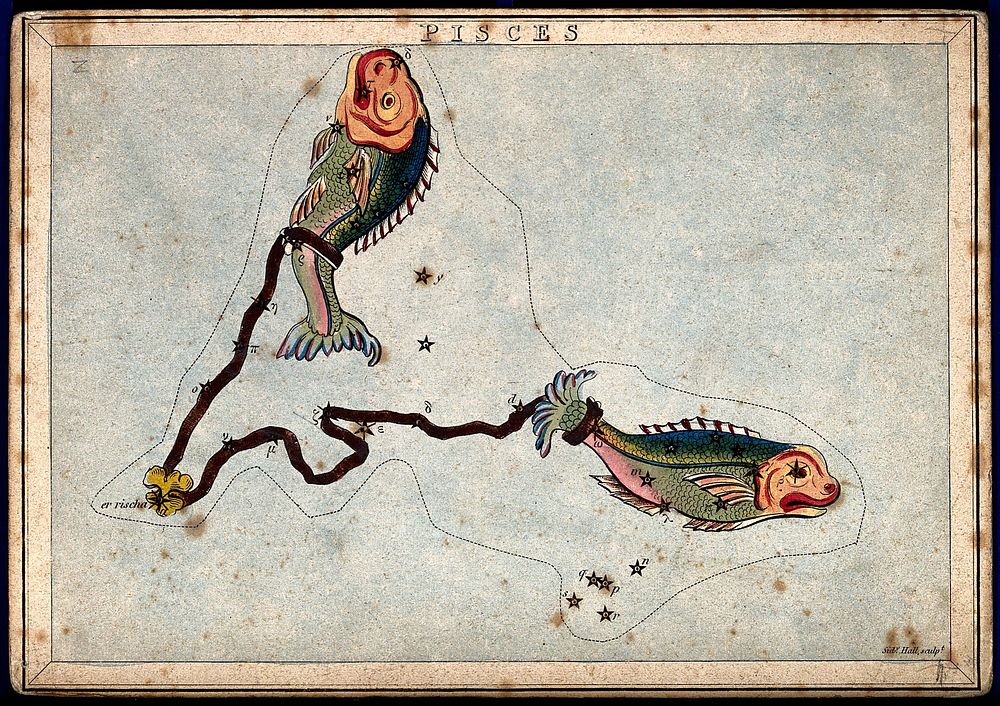 Astrology: signs of the zodiac, Pisces. Coloured engraving by S. Hall.