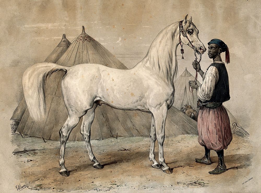 Nidjb, a horse from Muscat (Oman) presented to King Louis Philippe of France, held by an African man. Coloured chalk…