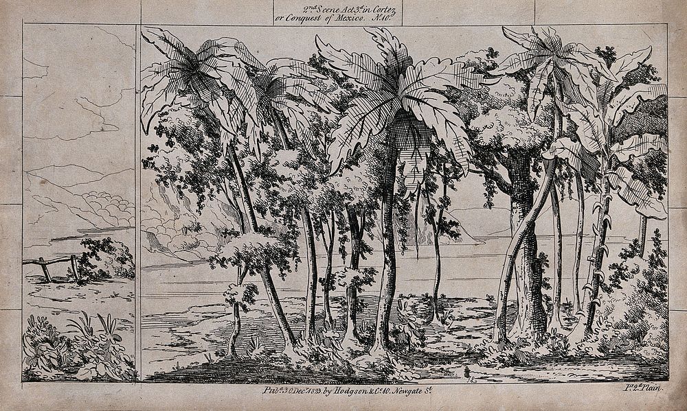 Scenery to be used in a toy theatre: palm trees on the water's edge with a mountainous region on the other side. Lithograph.
