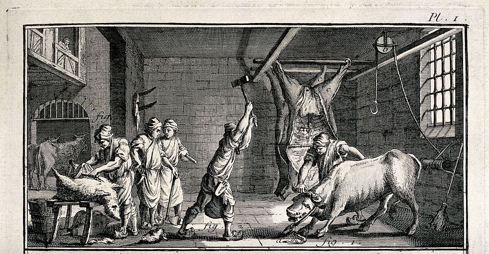 An abattoir: animals are being killed and the carcasses hung up from beams. Engraving by A.J. Defehrt.