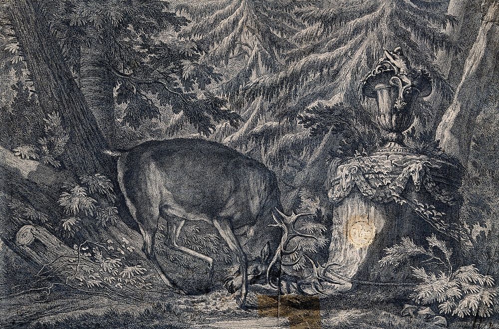 A stag carrying a head of ten tines fraying its head in front of a monument in the forest. Etching by J. E. Ridinger.
