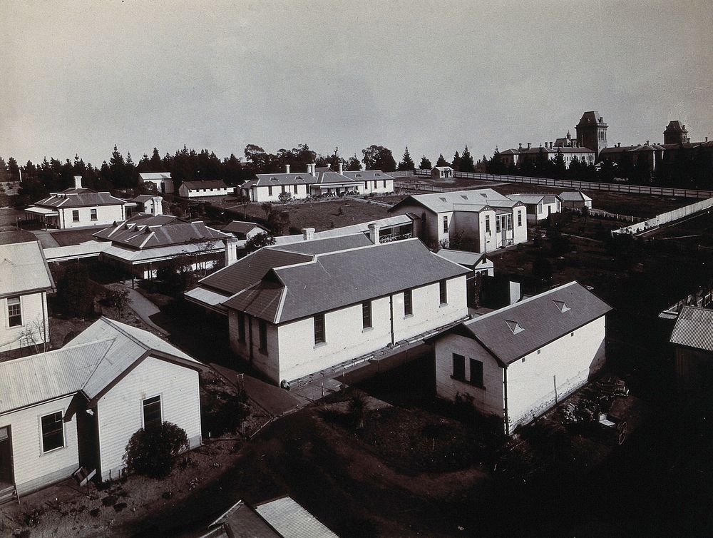 Metropolitan Lunatic Asylum, Kew, Victoria (Australia): view of some of the buildings and grounds. Photograph.