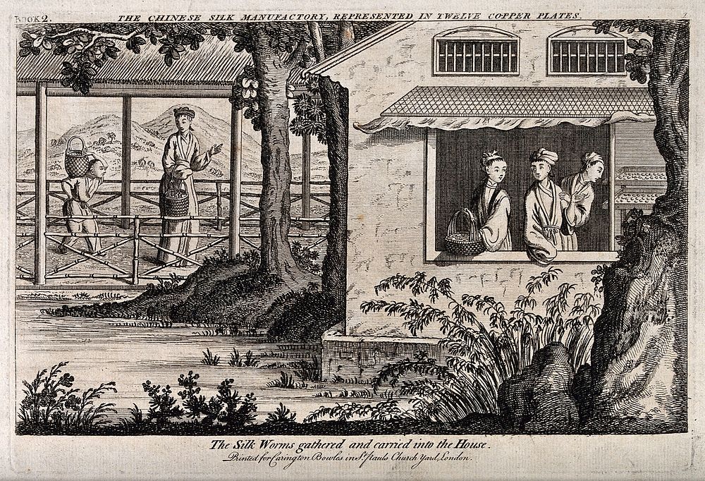 Textiles: silk manufacture in China, gathering the eggs. Engraving.