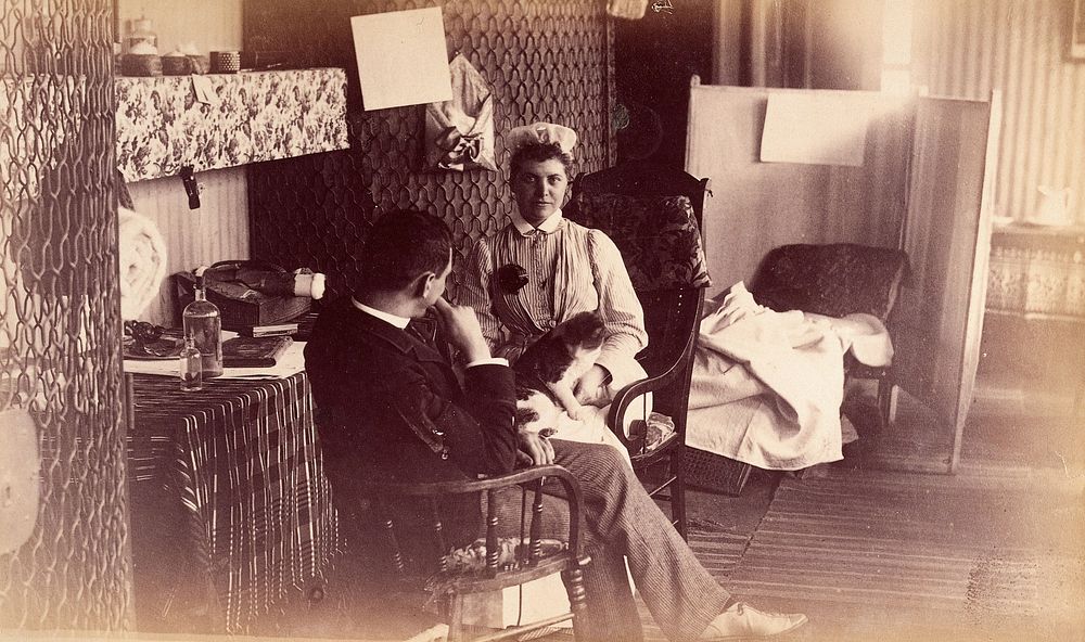 Bellevue Hospital, New York City: a nurse's sitting room , or end of ward, with seated nurse, cat in lap, talking to seated…