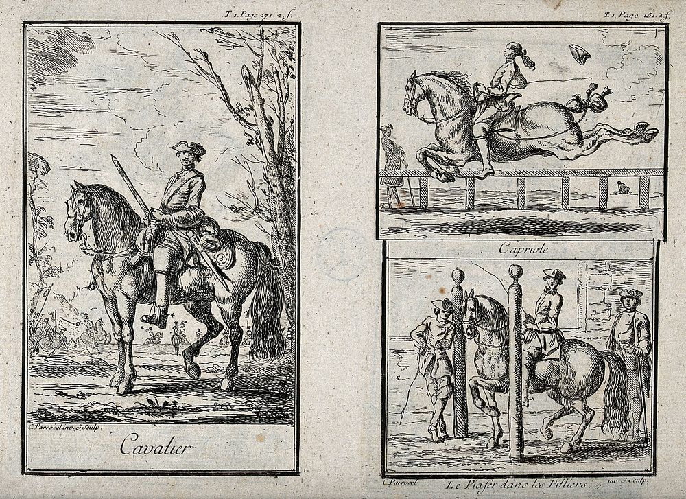 Gentlemen on horses performing three different gaits, including a capriole and a piaffe. Etching by C. Parrocel.