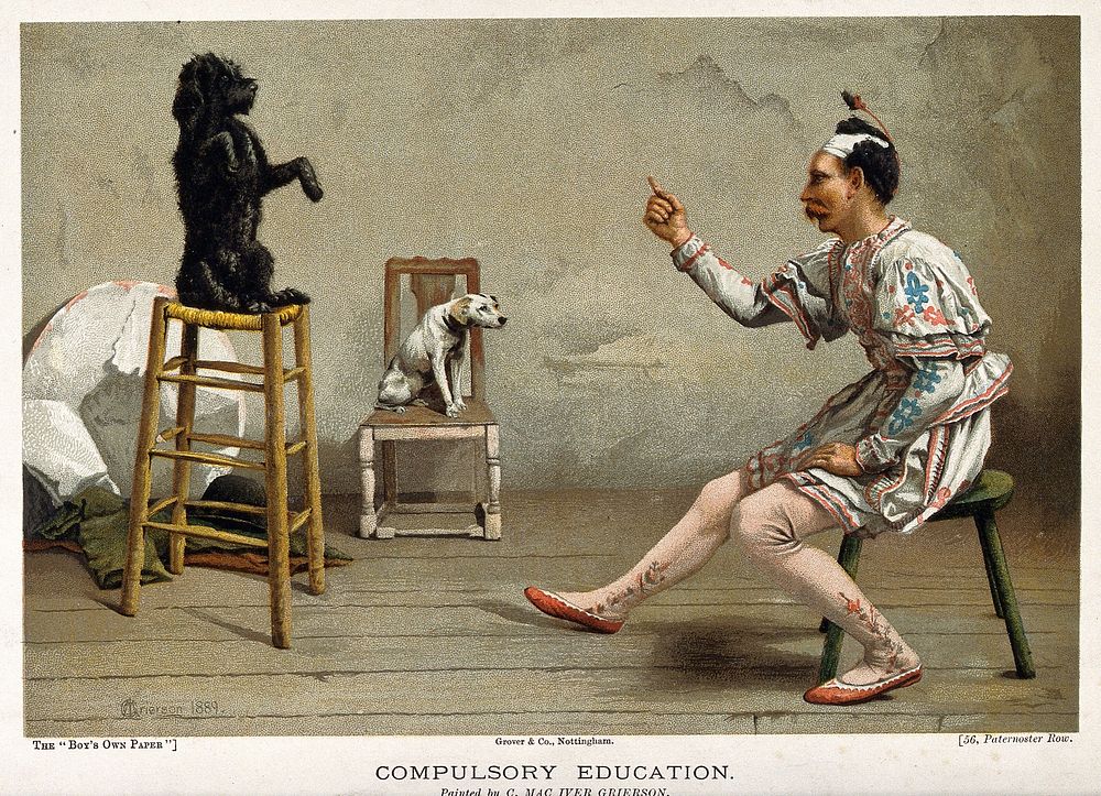 A man in an acrobat's outfit teaches a dog a trick while another dog looks on. Colour line block after C. MacIver Grierson.