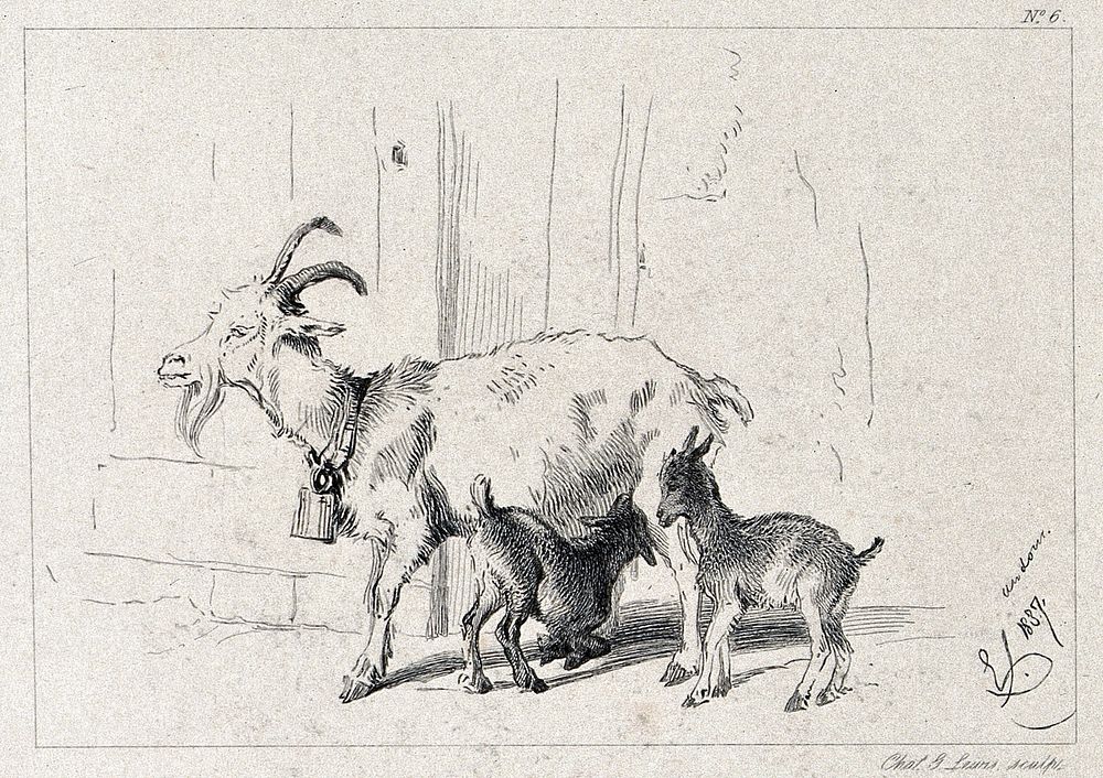A nanny goat with its two kids. Etching by C. G. Lewis after E. H. Landseer.