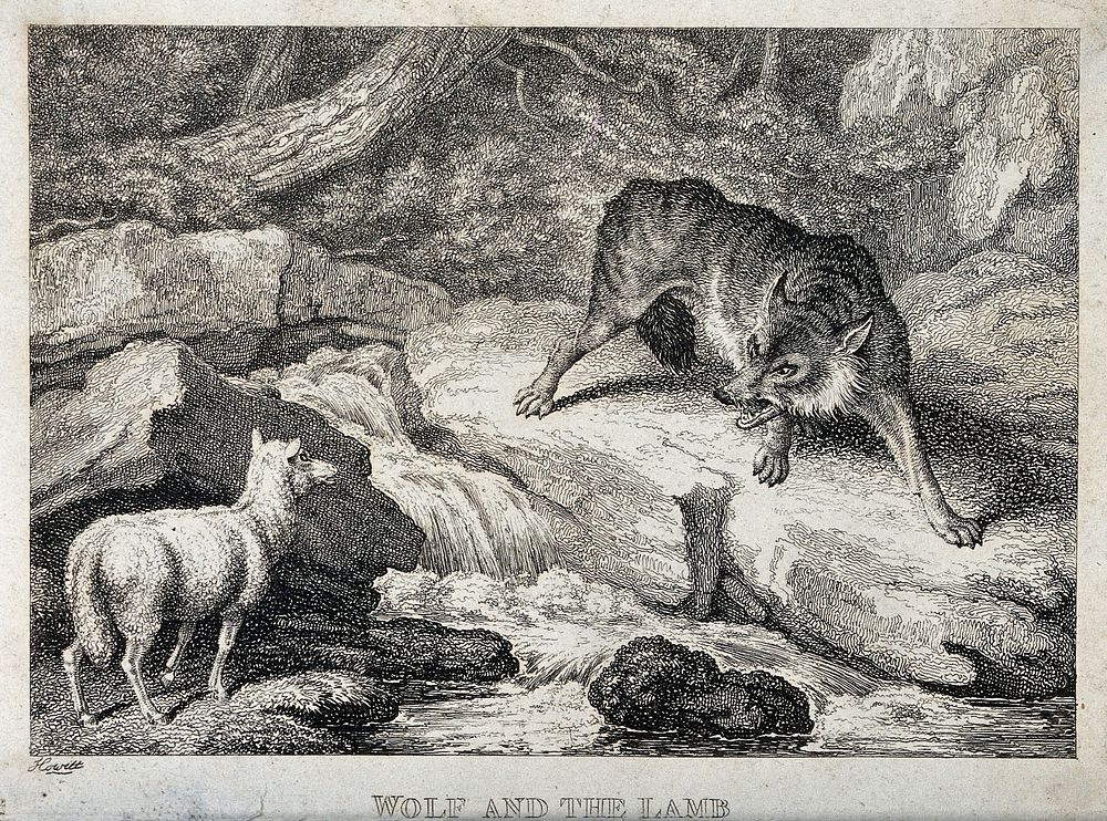 A large wolf snarling from across a stream at a bleating lamb. Etching by W-S Howitt.