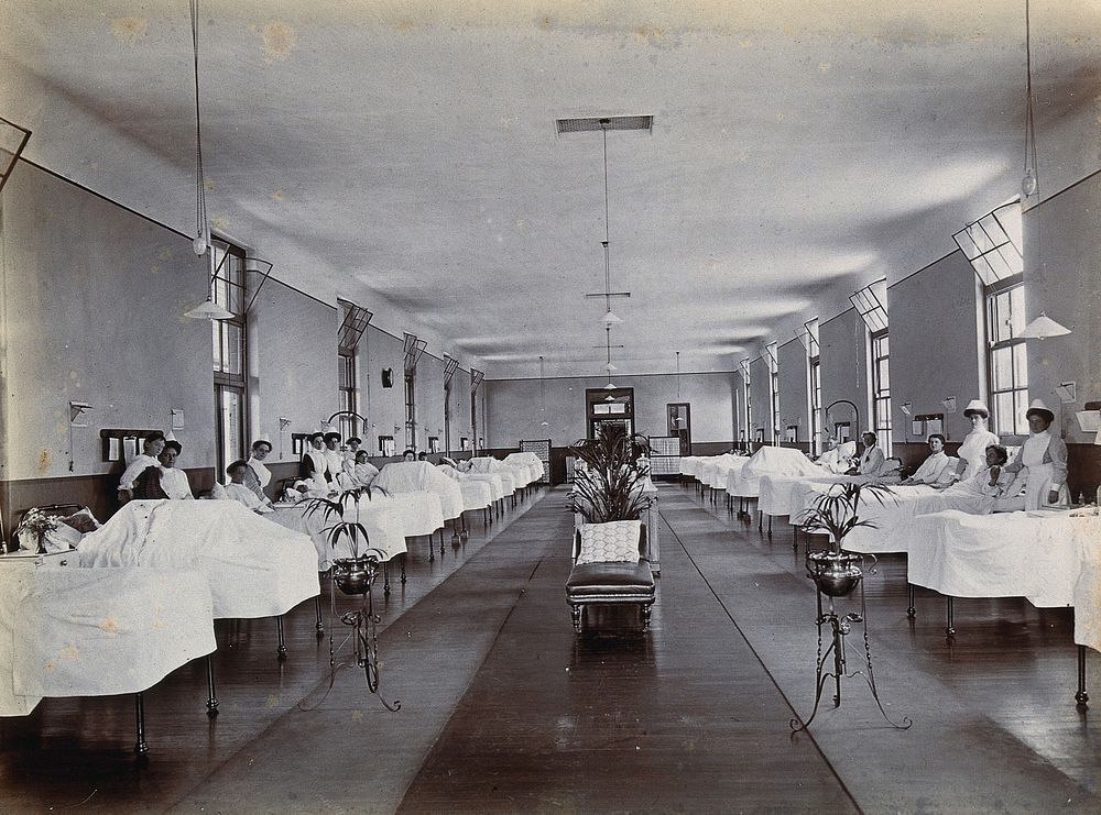 Johannesburg Hospital, South Africa: hospital ward with patients and nurses. Photograph, c. 1905.