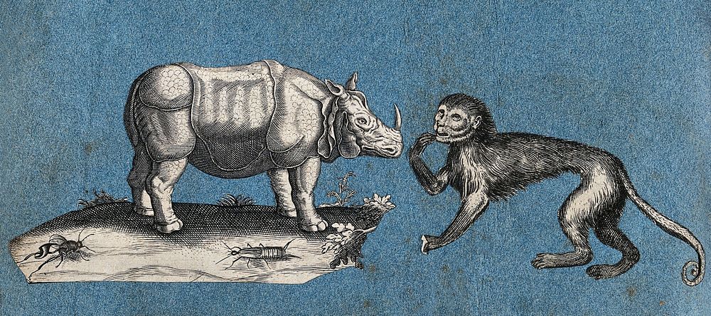 A rhinocerus and a monkey. Cut-out engravings pasted onto paper, 16--.
