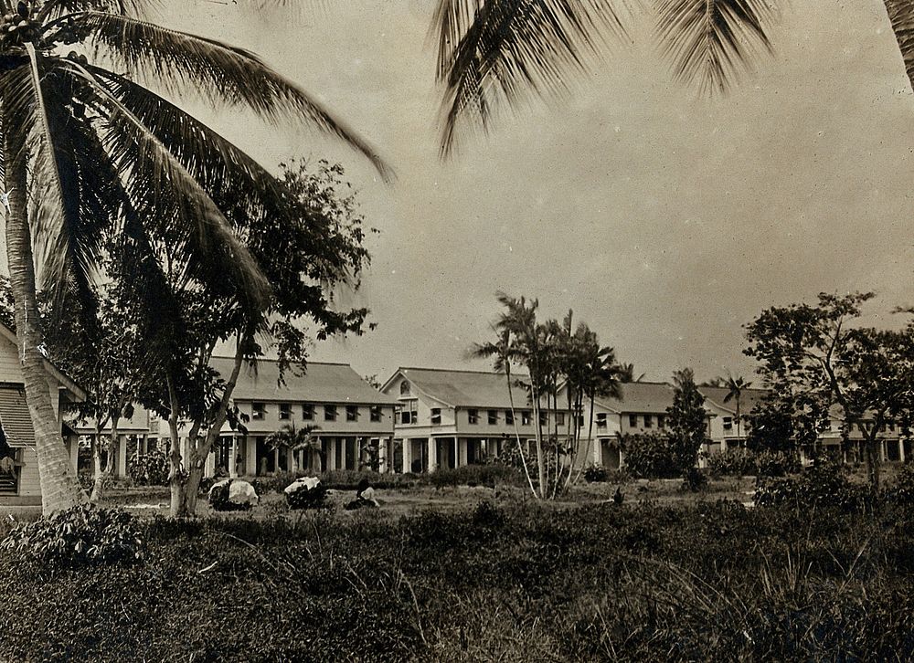 Leper asylum, Guyana (formerly British Guiana): residences for the female patients. Photograph, 1880/1900.