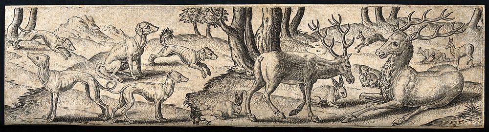 A group of animals in a forest. Engraving by A. de Bruyn.