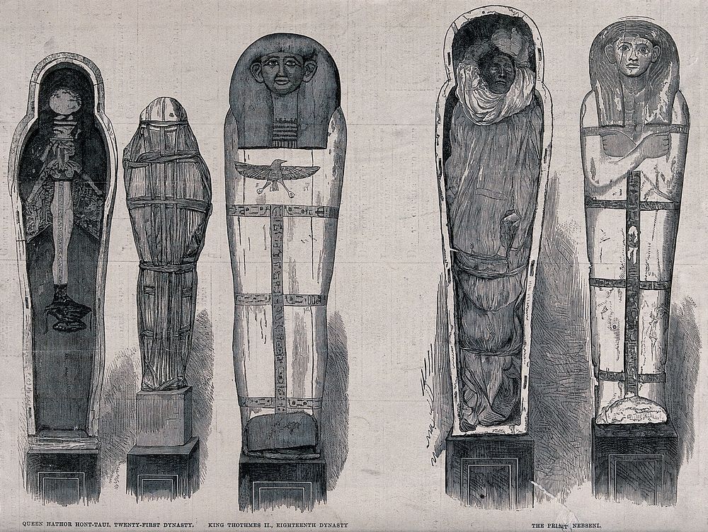 Mummy-cases for Queen Hathor Hont-Taui, King Thothmes II and the priest Nebseni and their mummified contents. Wood engraving…