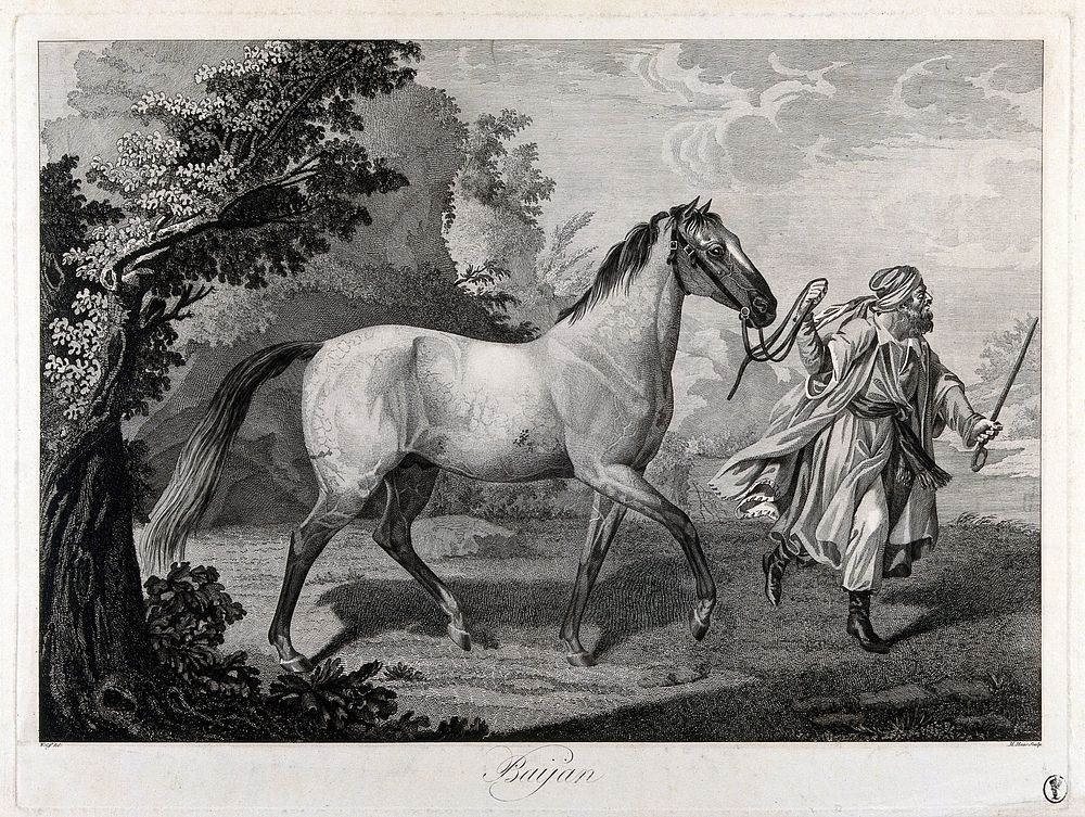 A white horse led by a man in Arab costume, in a landscape. Etching by M. Haas after A. Wolff, ca. 1850 .