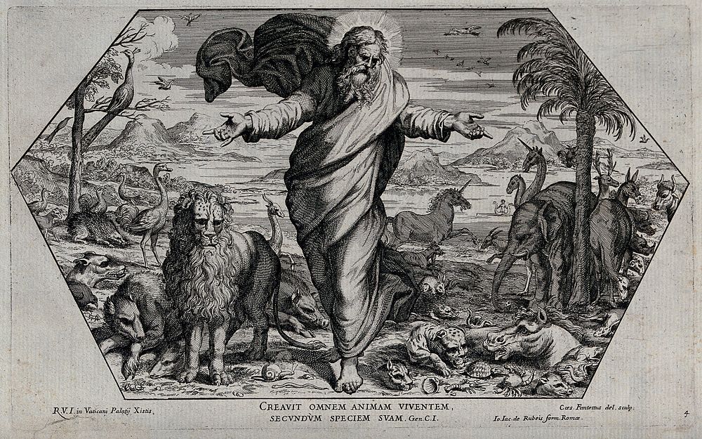 God creating the animals. Etching by C. Fantetti, 1675, after Raphael.