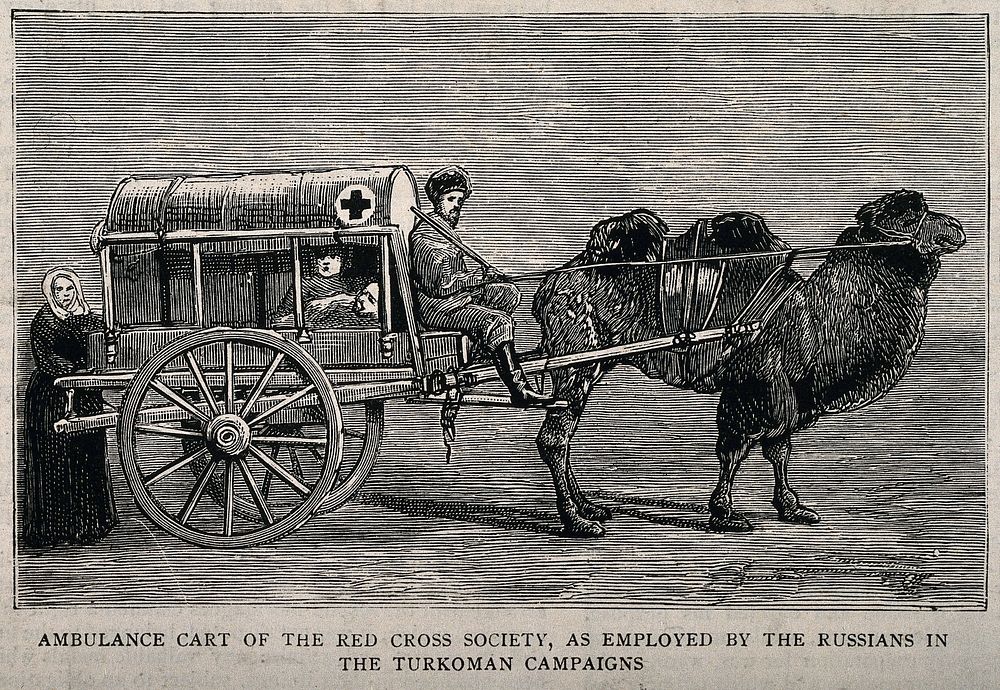 Crimean War: an ambulance vehicle. Wood engraving.