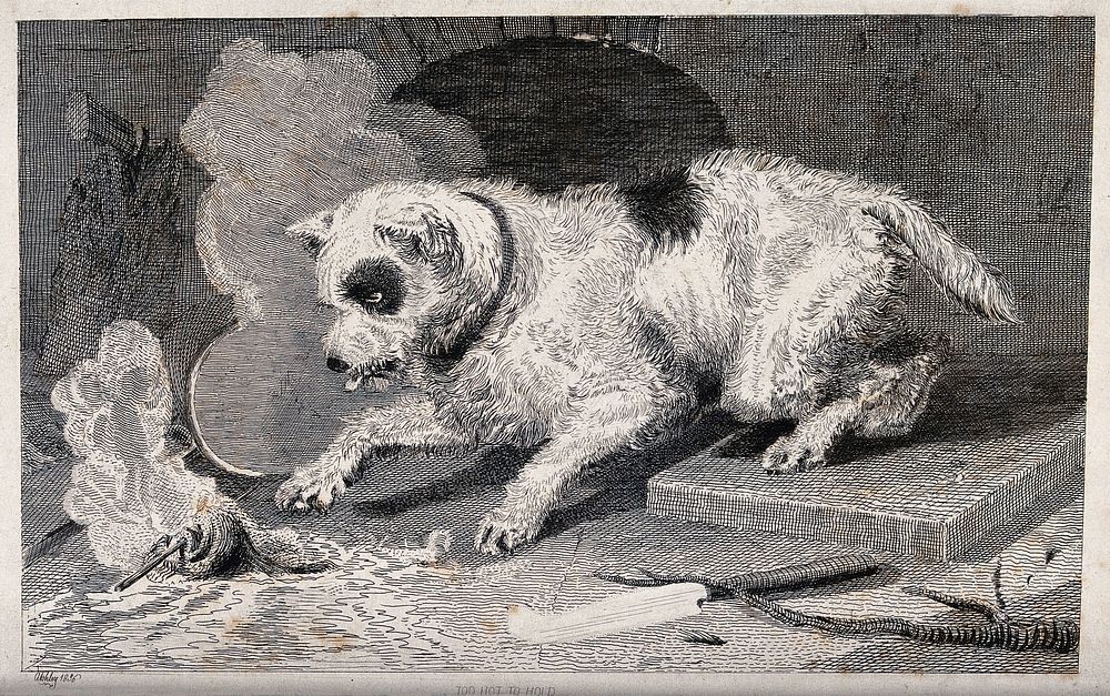 A dog with a dappled coat is trying to touch a hot object that is lying on the ground with its paw. Etching by A. Ashley.