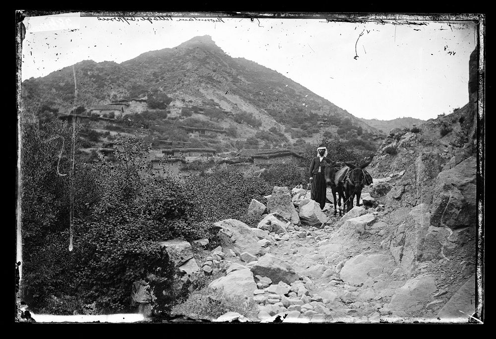 Cyprus. Photograph by John Thomson, 1878.