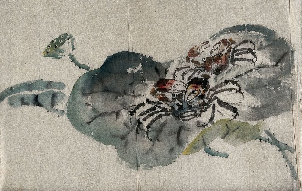 Two crabs on a large leaf. Watercolour by a Chinese artist.