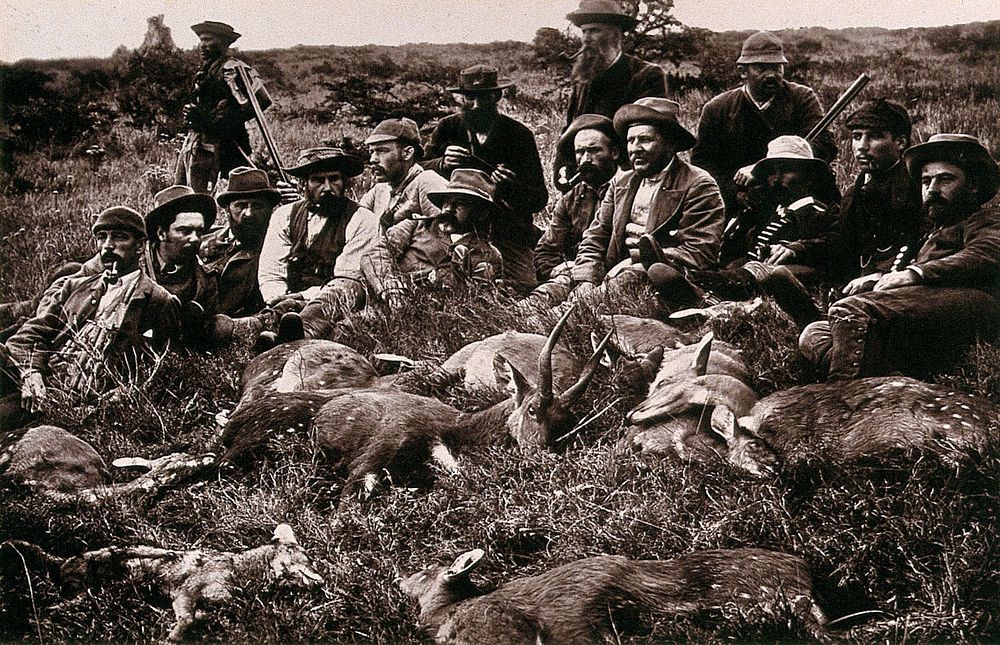 Wycombe Vale, South Africa: a group of bushbuck hunters with their kill. Woodburytype, 1888, after a photograph by Robert…
