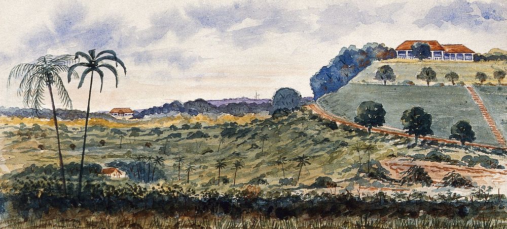 Singapore: a hill known as "Mount Echo". Watercolour by J. Taylor, 1879.