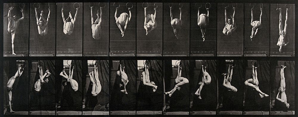 A gymnast performing on the rings. Collotype after Eadweard Muybridge, 1887.