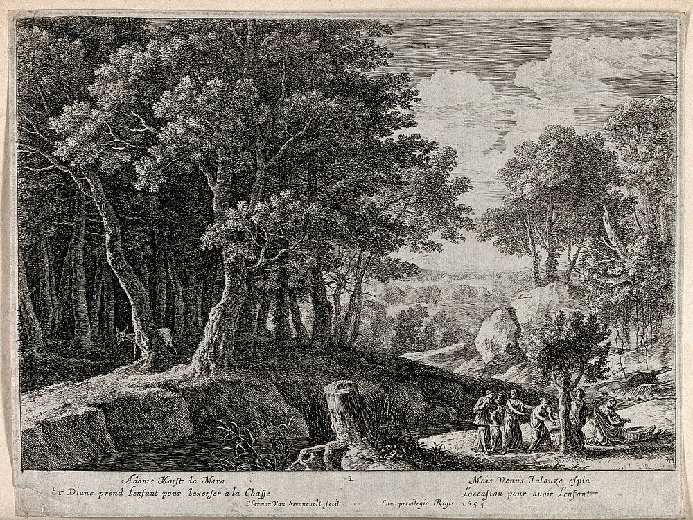 The birth of Adonis. Etching by H. van Swanevelt.