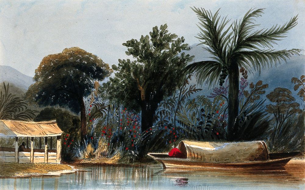 Colombia: a shed on the banks of a lagoon of the River Cienega. Coloured etching by C. Empson, 1836.