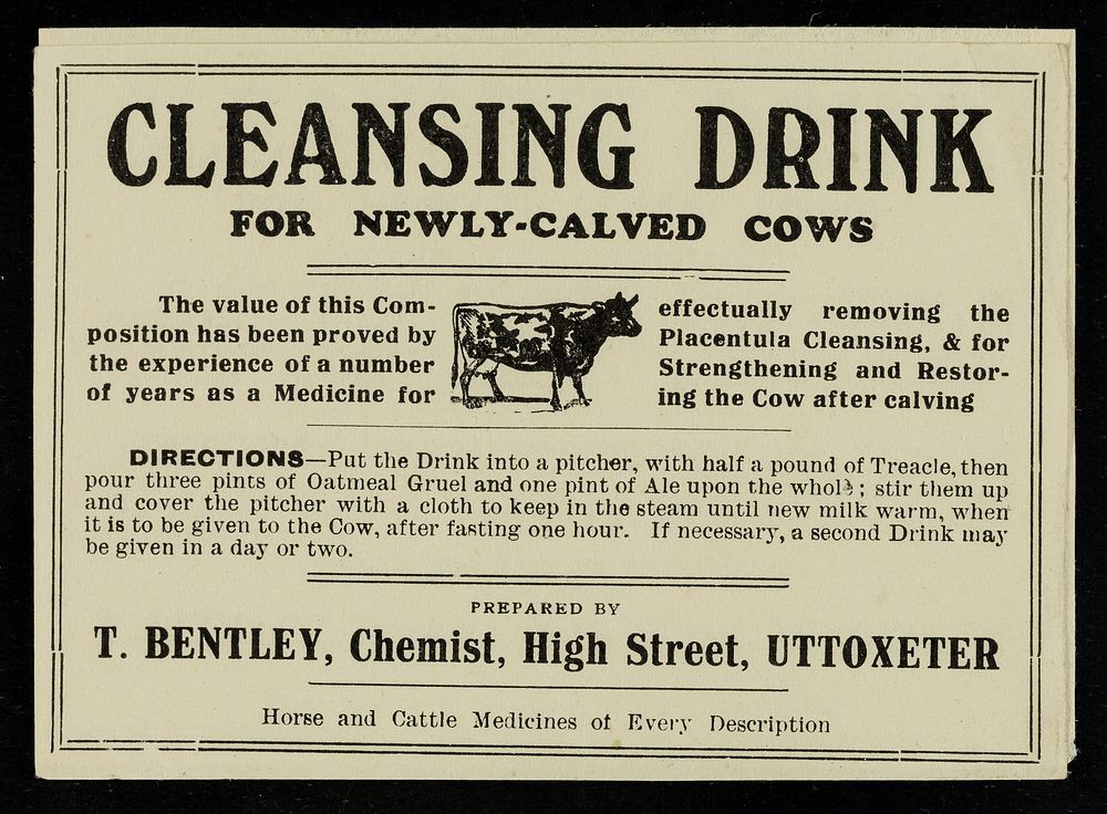 Cleansing drink for newly-calved cows / T. Bentley.