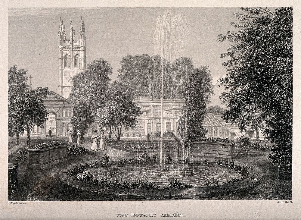 Botanic Gardens, Oxford: showing the fountain and greenhouses, with a glimpse of Magdalen College behind. Line engraving by…