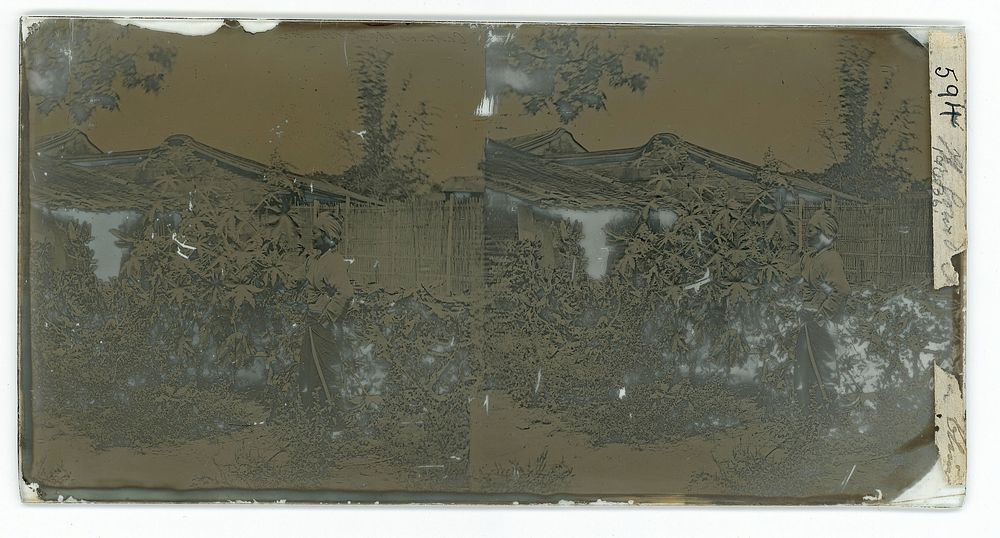 Formosa (Taiwan). Photograph by John Thomson, ca. 1870.