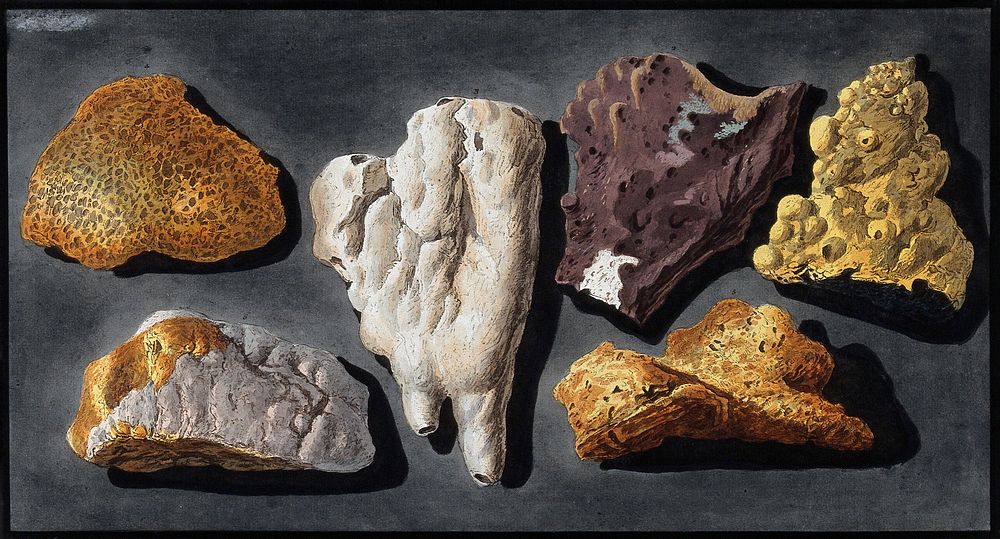 Six pieces of lava from inside the crater of Mount Vesuvius. Coloured etching by Pietro Fabris, 1776.
