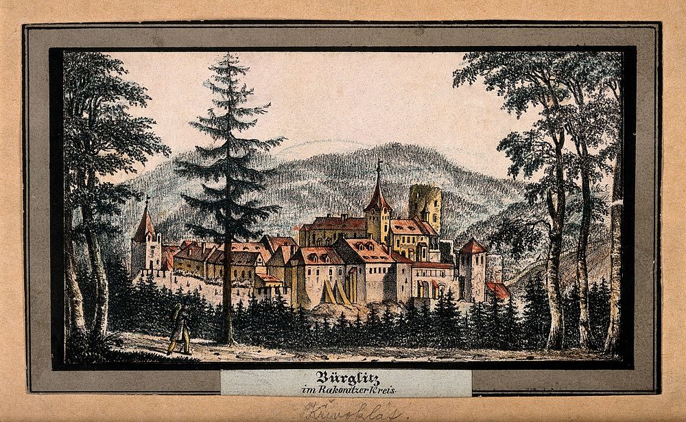 Křivoklát (Pürglitz) castle, Czech republic. Coloured lithograph.