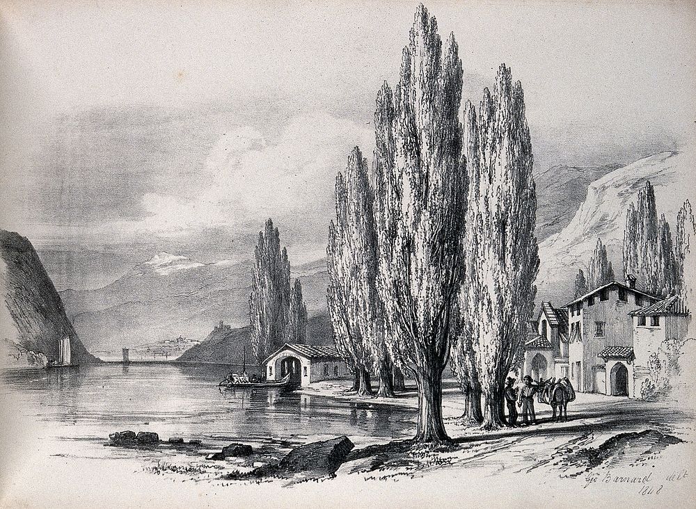 A lakeside village scene with lombardy poplar trees (Populus nigra cv. Italica) growing by the water's edge. Lithograph…
