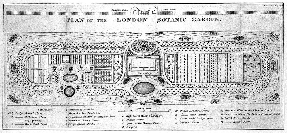 The London Botanic Garden, Chelsea: plan view with a key describing several areas of the garden. Engraving.