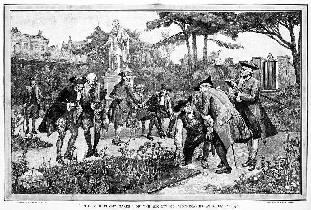 The Physic Garden, Chelsea: men botanizing in the garden, near the statue of Sir Hans Sloane, 1750. Wood engraving by T. W.…
