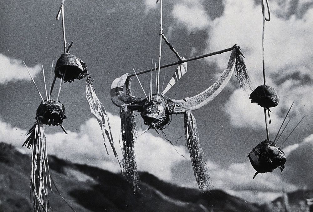 Kalyo Kengyu, northern India: human heads hung up as trophies in a Naga village. Photograph.