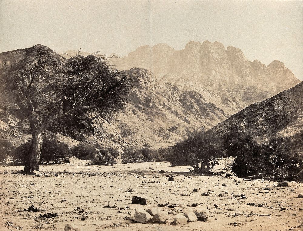 Mount Serbal, Egypt: view from the Wadee Feyran. Photograph by Francis Frith, 1858.
