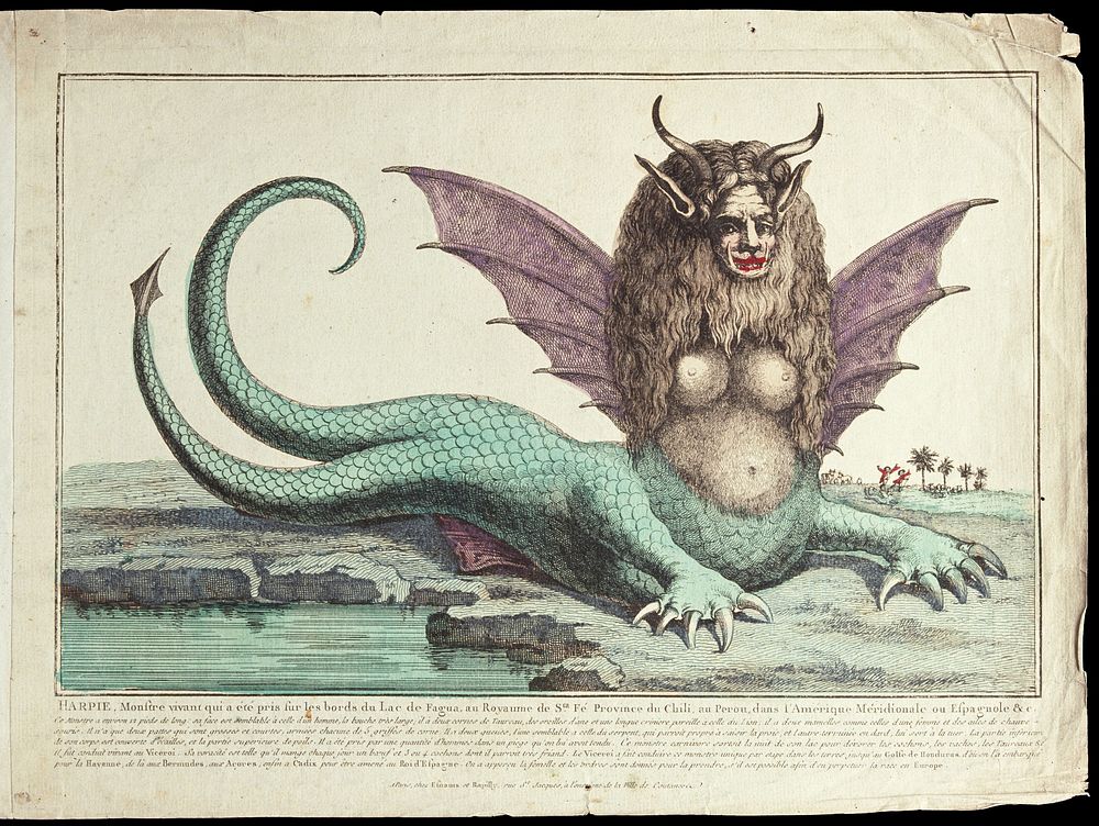 The "Peruvian harpy": a harpy with two tails, horns, fangs, winged ears, and long wavy hair. Coloured etching.