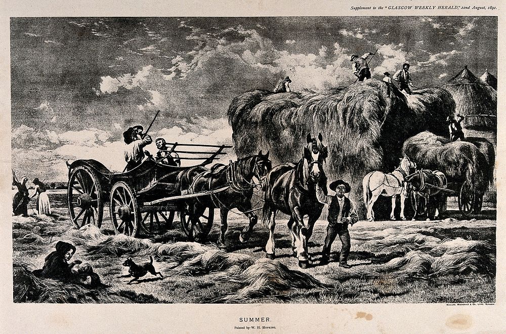 Hay is being gathered into a haystack, and a boy is leading horses pulling an empty wagon. Photolithograph after W.H.…