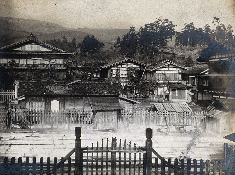 Japanese thermal baths, built outdoors behind wooden fences. Photograph.