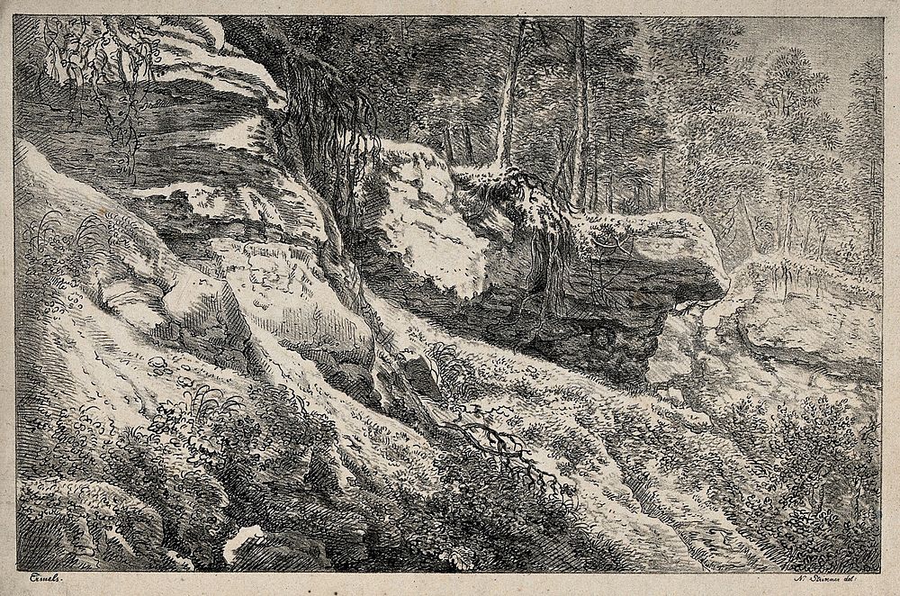 A rocky outcrop with trees above. Lithograph by N. Strixner after J.F. Ermels, 1811.