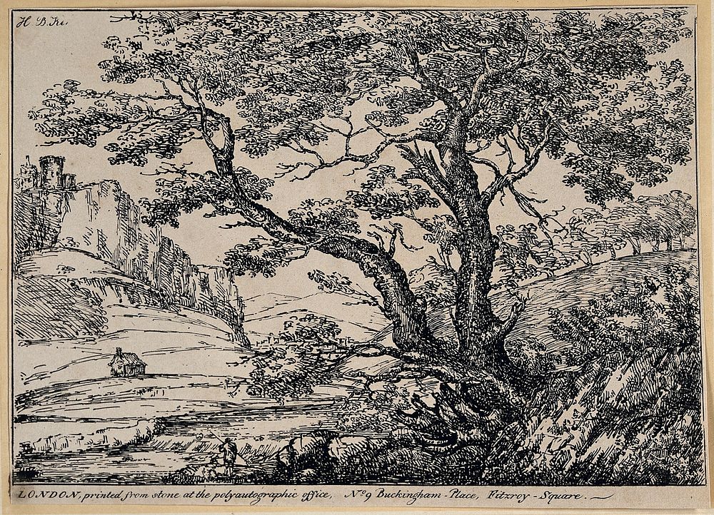 A landscape with a tree in the foreground, a house in the middle ground, a castle in the background. Lithograph by H.B. Ker…