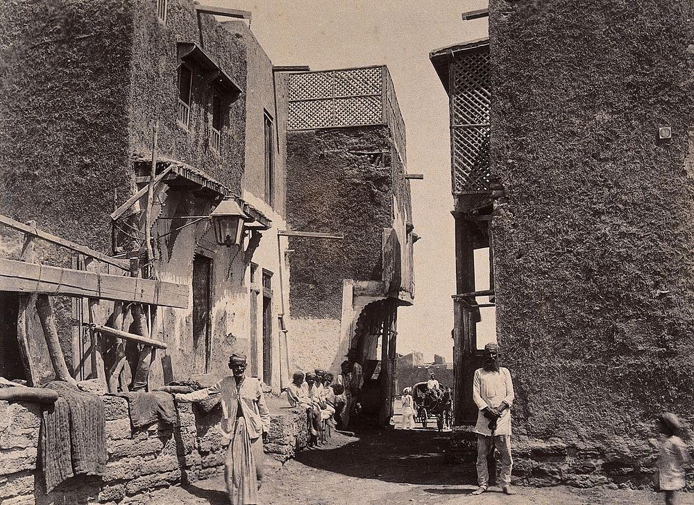 Buildings in the town of Machi Meani, Karachi, India. Photograph, 1897.