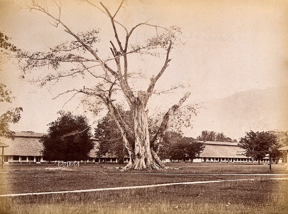 Malaya: the infantry barracks on Penang Island. Photograph by J. Taylor, 1880.