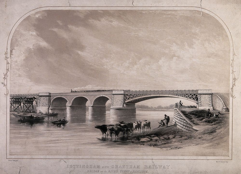 The Radcliffe Viaduct, Radcliffe on Trent, Nottinghamshire: a locomotive passing over the River Trent, and cattle drinking…